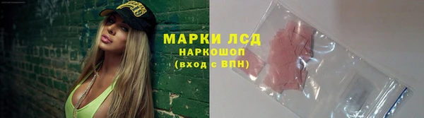 крисы Дмитровск