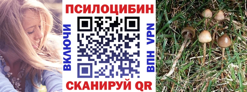 Купить  Безенчук  Галлюциногенные грибы GOLDEN TEACHER 